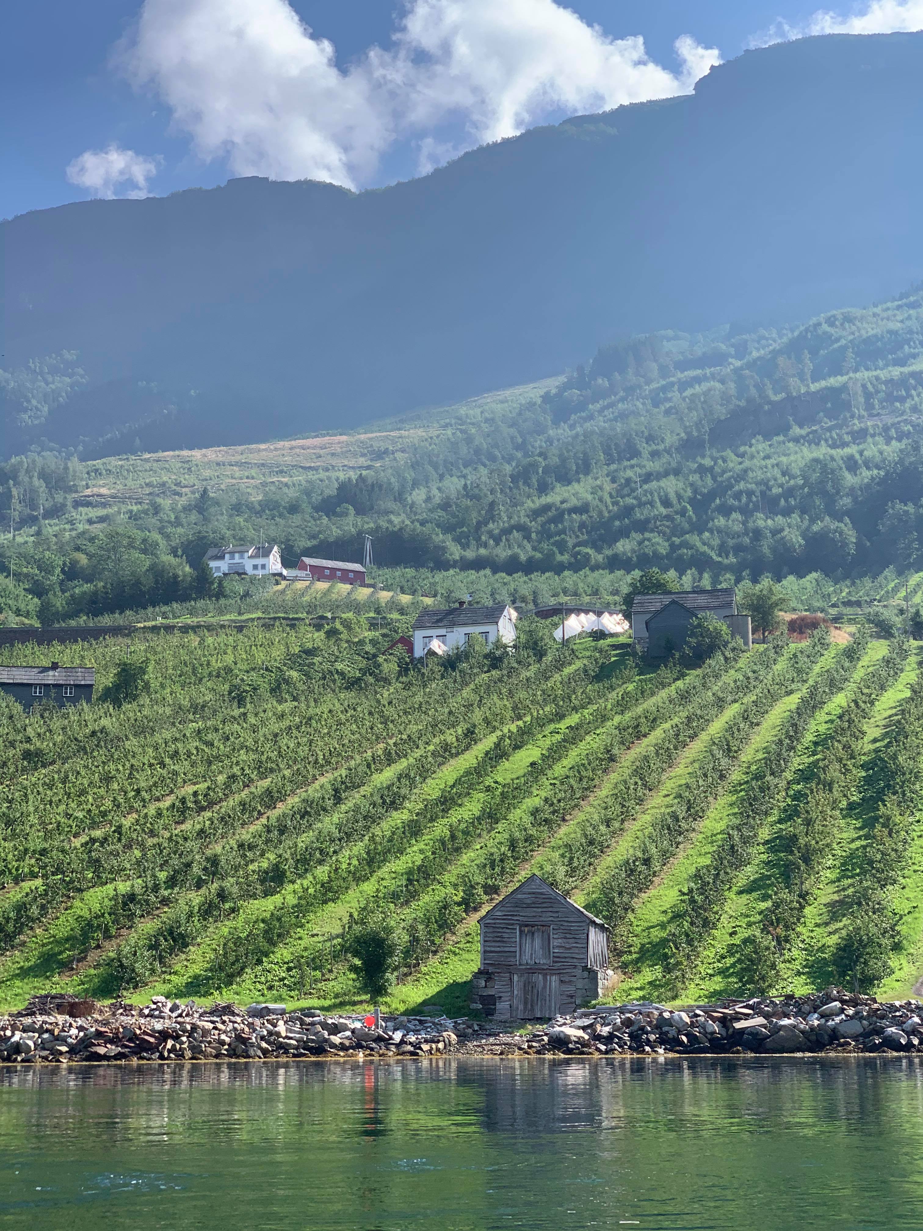 Fjordnorge og Hardanger