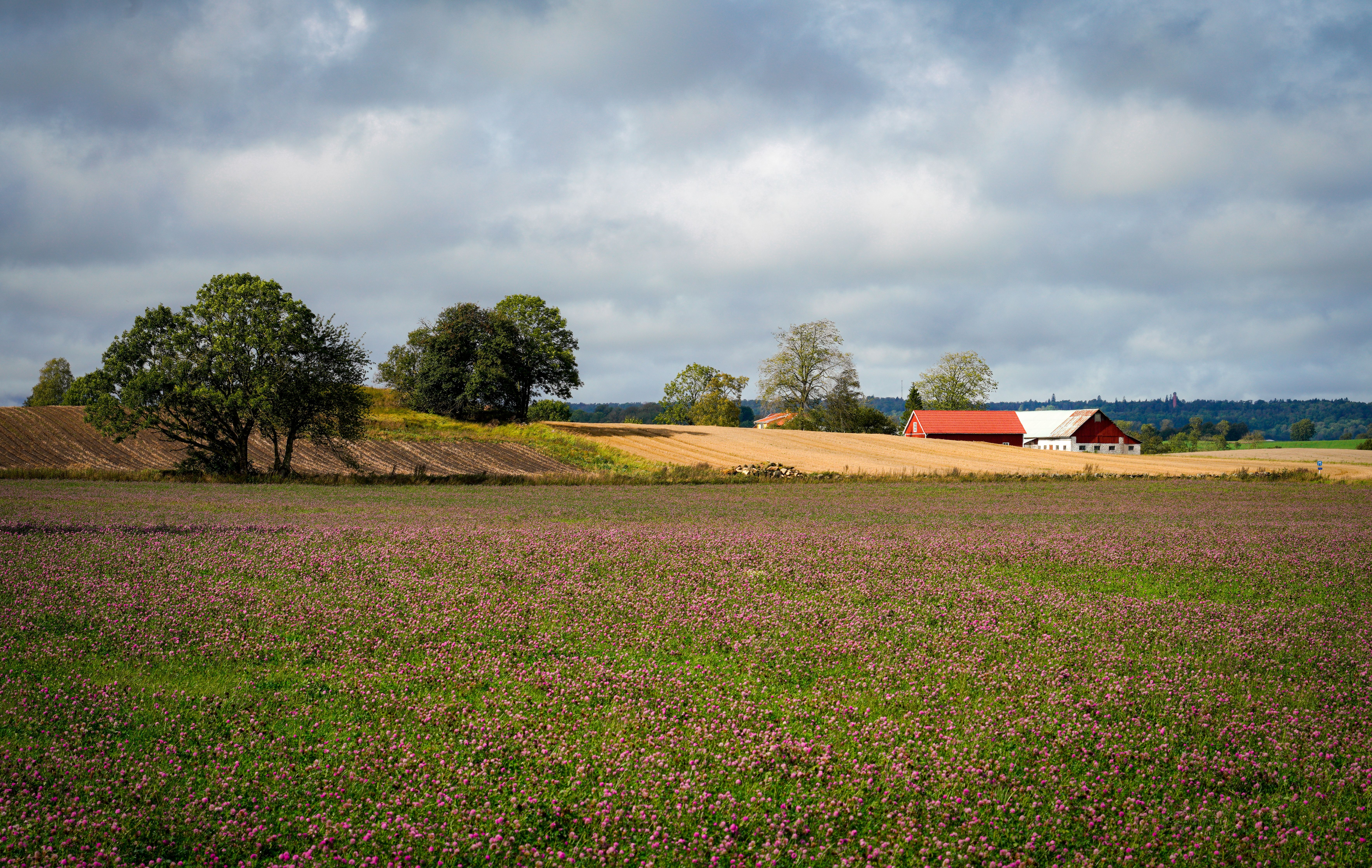 Landbruksmesse gjort enkelt � Skreddersydd reise for bransjefolk